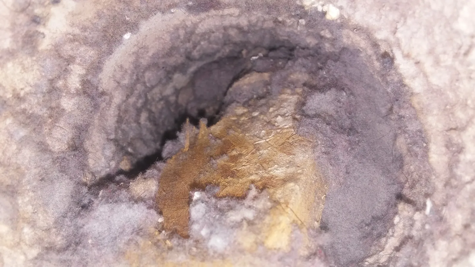 Heavy dust buildup documented inside ductwork